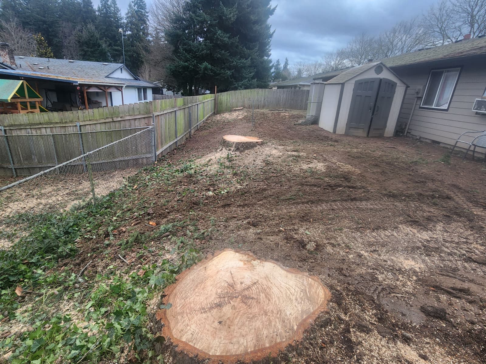 SAFE TREE REMOVAL