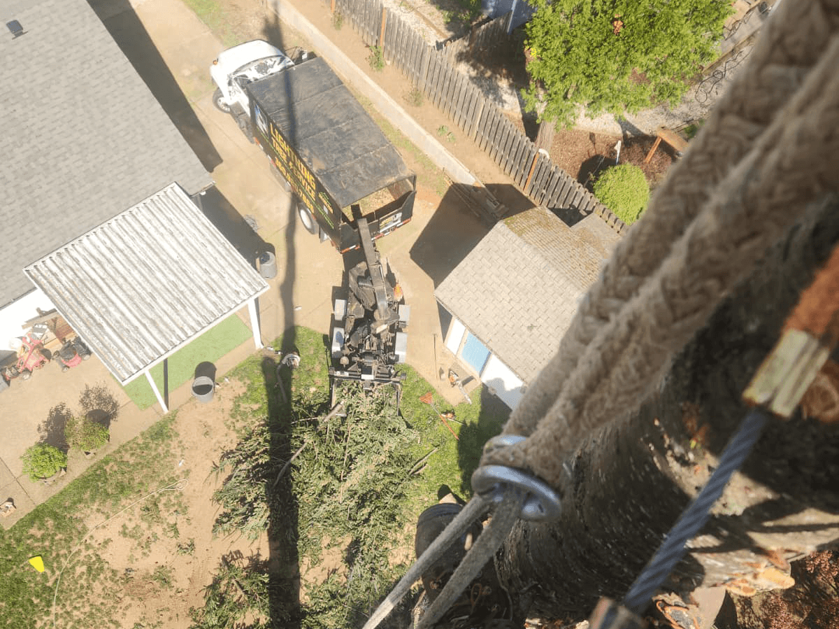 STRUCTURAL TRIMMING
